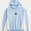 Arjantin Futbol Federasyonu Grafik Kapüşonlu Sweatshirt