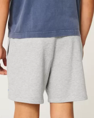 Hollister Feel Good Polar Orta Boy Ford Grafik Şort