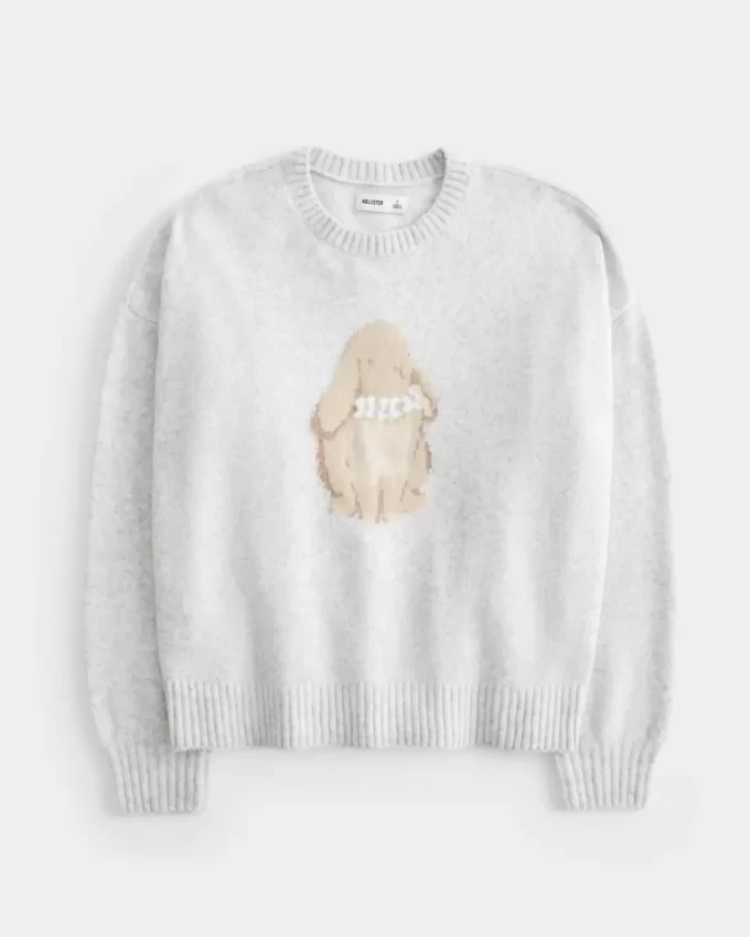 Hollister Rahat Bulut Tavşanı Grafikli Kazak Hollister Rahat Bulut Tavşanı Grafikli Kazak